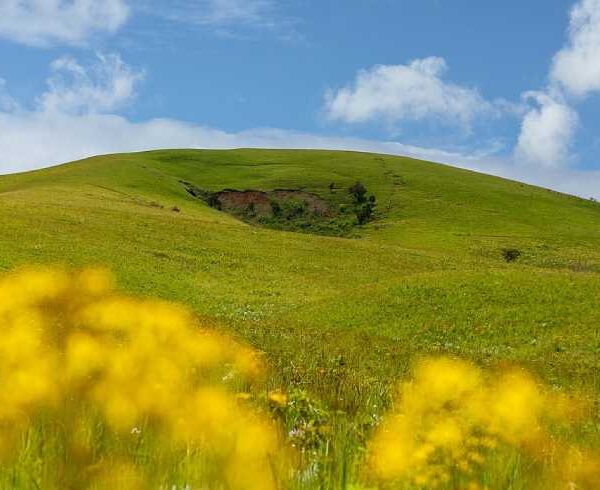 kitulo national park